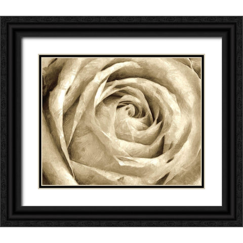 Neutral Wall Flower IV Black Ornate Wood Framed Art Print with Double Matting by Saunders, Alonzo