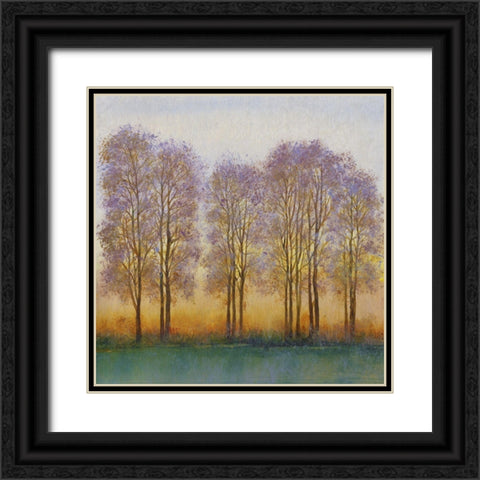 Twilight Glow I Black Ornate Wood Framed Art Print with Double Matting by OToole, Tim