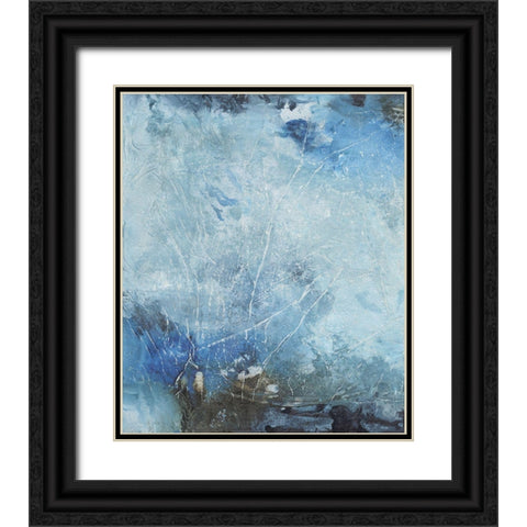 Coastal Seas III Black Ornate Wood Framed Art Print with Double Matting by Combs, Joyce
