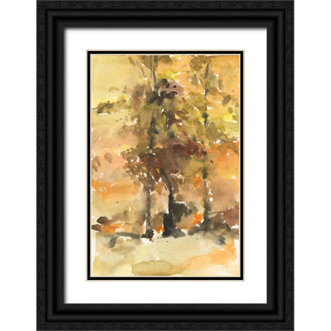 Fall Foliage Watercolor I Black Ornate Wood Framed Art Print with Double Matting by Dixon, Samuel