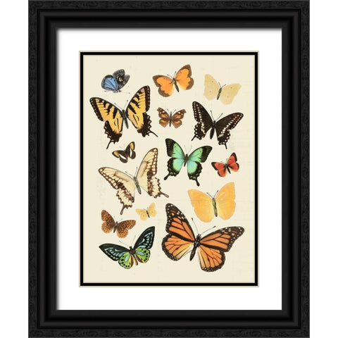 Collected Flutter I Black Ornate Wood Framed Art Print with Double Matting by Barnes, Victoria