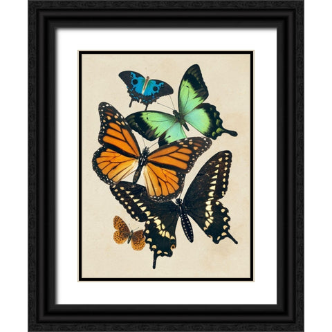 Collaged Butterflies I Black Ornate Wood Framed Art Print with Double Matting by Barnes, Victoria