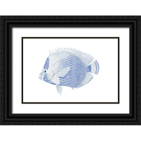 Blue And White Tropical Fish VI Black Ornate Wood Framed Art Print with Double Matting by Vision Studio