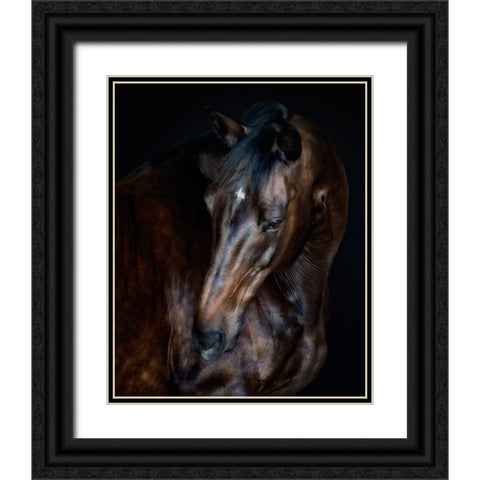 Sunlit Horses I Black Ornate Wood Framed Art Print with Double Matting by PHBurchett
