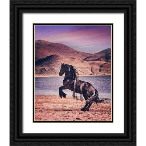 Sunlit Horses II Black Ornate Wood Framed Art Print with Double Matting by PHBurchett