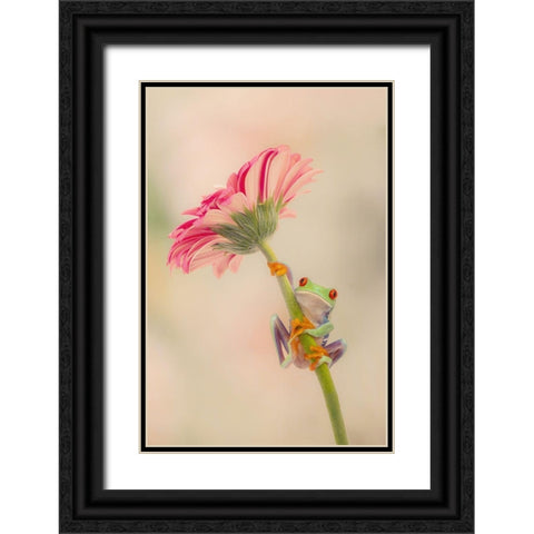 Hanging On I Black Ornate Wood Framed Art Print with Double Matting by PHBurchett