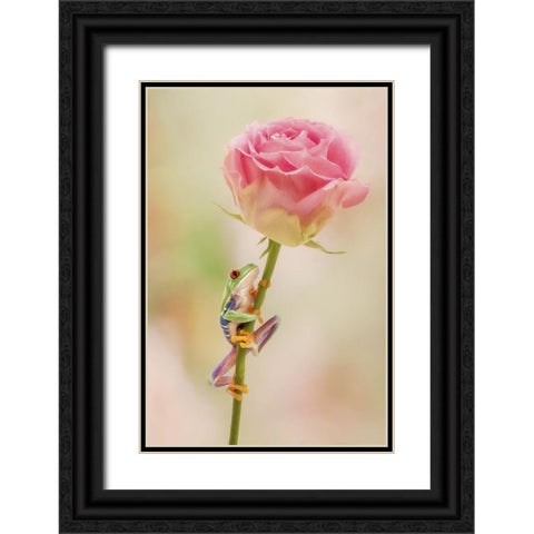Hanging On II Black Ornate Wood Framed Art Print with Double Matting by PHBurchett