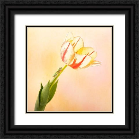 Hanging On III Black Ornate Wood Framed Art Print with Double Matting by PHBurchett
