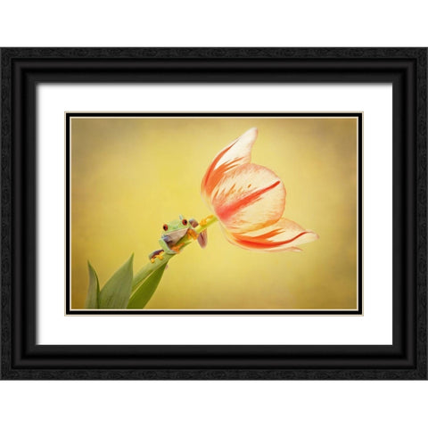 Hanging On VII Black Ornate Wood Framed Art Print with Double Matting by PHBurchett