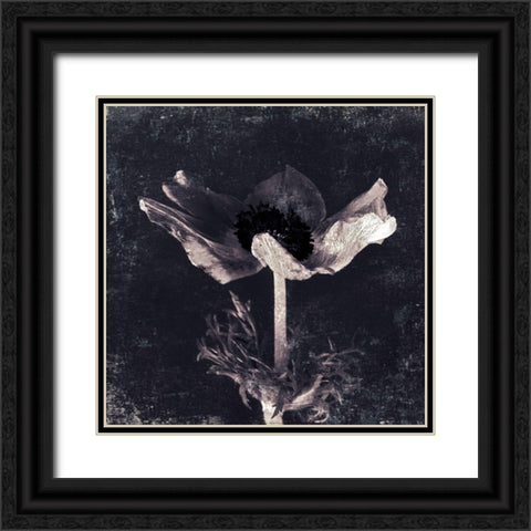 Aurora Blooms I Black Ornate Wood Framed Art Print with Double Matting by Aryai, Sia