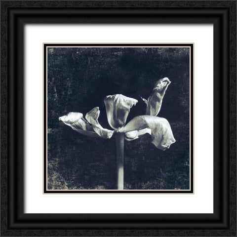 Aurora Blooms II Black Ornate Wood Framed Art Print with Double Matting by Aryai, Sia