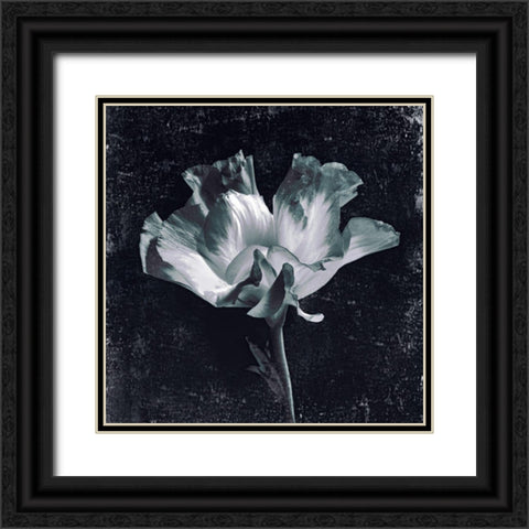 Aurora Blooms III Black Ornate Wood Framed Art Print with Double Matting by Aryai, Sia