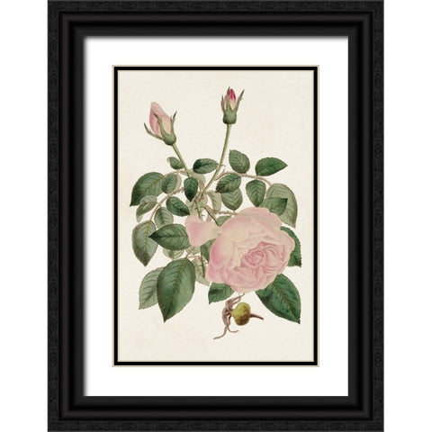 Pink Floral Mix II Black Ornate Wood Framed Art Print with Double Matting by Ridgeway