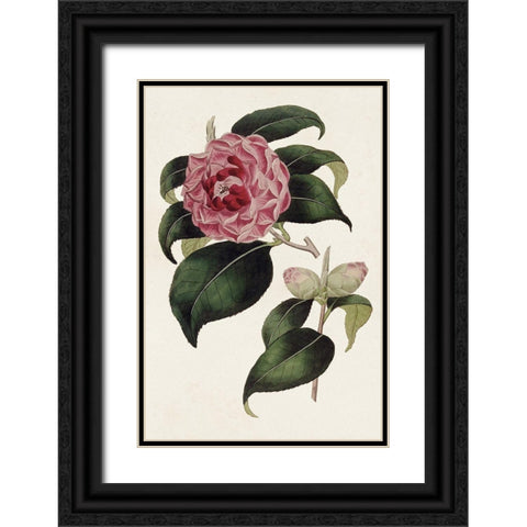 Pink Floral Mix III Black Ornate Wood Framed Art Print with Double Matting by Ridgeway