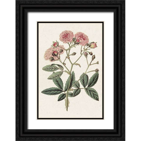 Pink Floral Mix V Black Ornate Wood Framed Art Print with Double Matting by Ridgeway