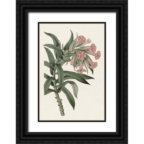 Pink Floral Mix VI Black Ornate Wood Framed Art Print with Double Matting by Ridgeway