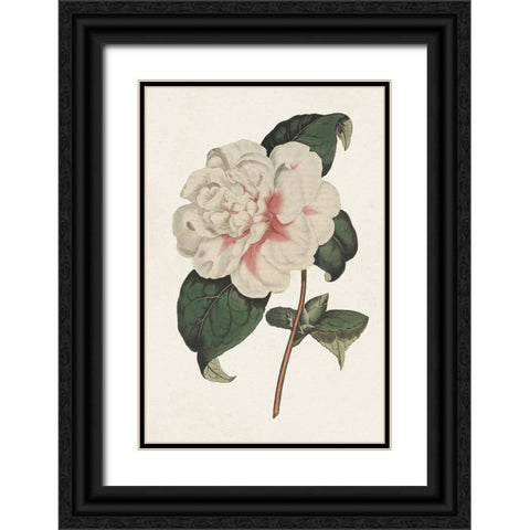 Pink Floral Mix VIII Black Ornate Wood Framed Art Print with Double Matting by Ridgeway