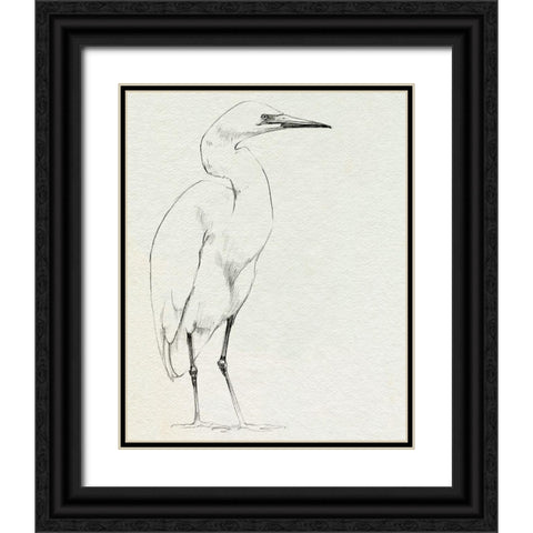 Erect Egret I Black Ornate Wood Framed Art Print with Double Matting by Caroline, Emma