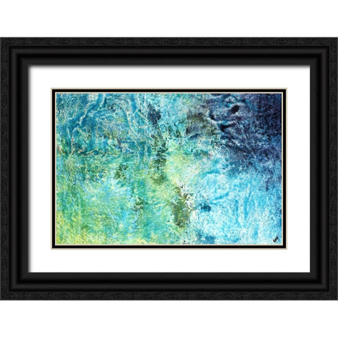 Little Ocean Black Ornate Wood Framed Art Print with Double Matting by Estes, Tyson