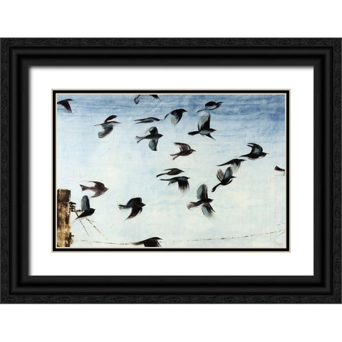 Sparrows Black Ornate Wood Framed Art Print with Double Matting by Taylor, Kari