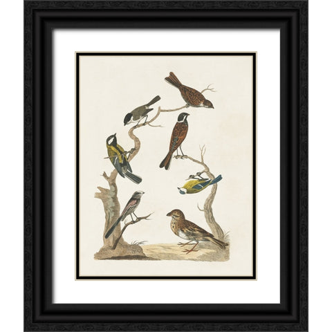 Antique Birds in Nature II Black Ornate Wood Framed Art Print with Double Matting by Vision Studio