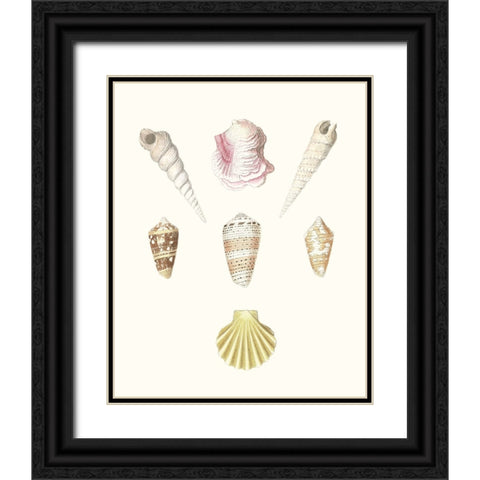 Pastel Knorr Shells I Black Ornate Wood Framed Art Print with Double Matting by Knorr, G.W.