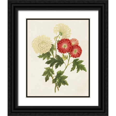 Flowers of the Seasons I Black Ornate Wood Framed Art Print with Double Matting by Unknown