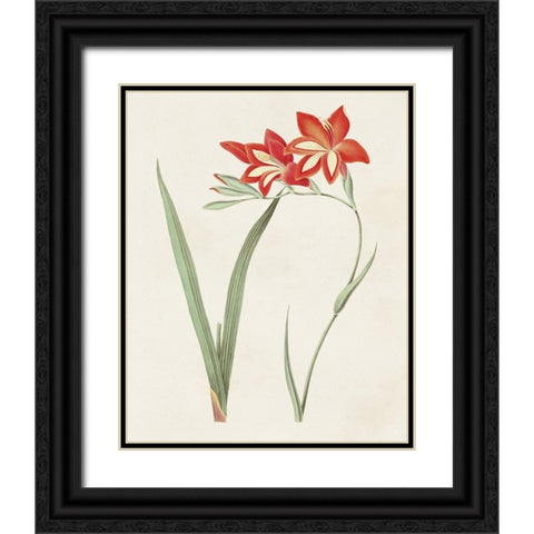 Flowers of the Seasons IV Black Ornate Wood Framed Art Print with Double Matting by Unknown