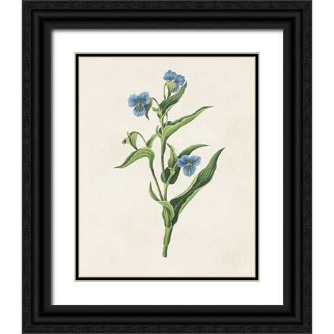 Flowers of the Seasons V Black Ornate Wood Framed Art Print with Double Matting by Unknown
