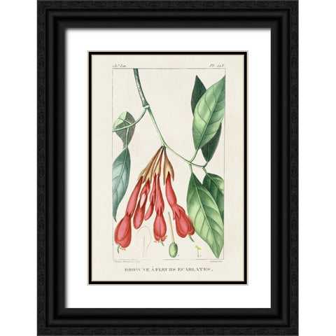 Turpin Tropical Botanicals I Black Ornate Wood Framed Art Print with Double Matting by Turpin