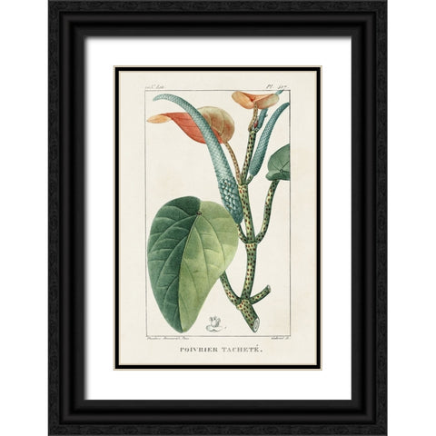 Turpin Tropical Botanicals II Black Ornate Wood Framed Art Print with Double Matting by Turpin