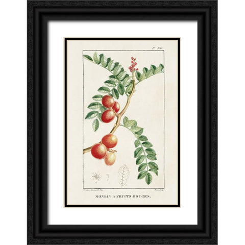 Turpin Tropical Botanicals III Black Ornate Wood Framed Art Print with Double Matting by Turpin