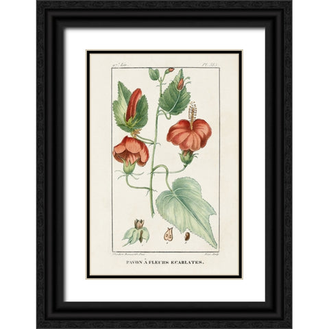 Turpin Tropical Botanicals IV Black Ornate Wood Framed Art Print with Double Matting by Turpin