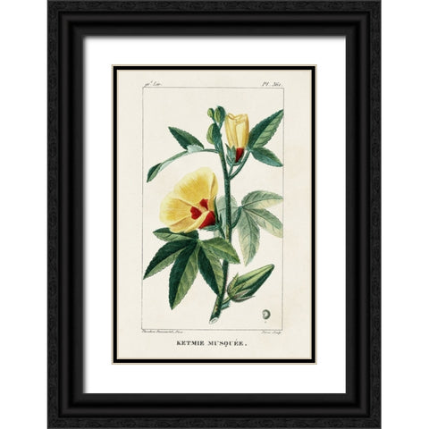 Turpin Tropical Botanicals VI Black Ornate Wood Framed Art Print with Double Matting by Turpin
