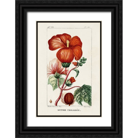 Turpin Tropical Botanicals VII Black Ornate Wood Framed Art Print with Double Matting by Turpin