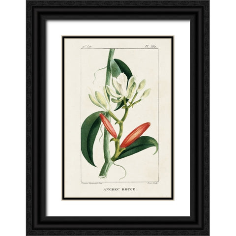 Turpin Tropical Botanicals IX Black Ornate Wood Framed Art Print with Double Matting by Turpin