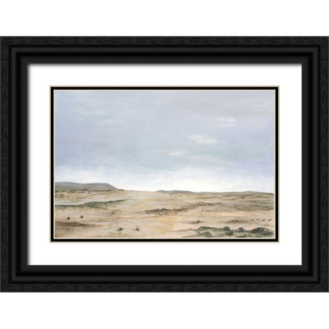 Arid Vista I Black Ornate Wood Framed Art Print with Double Matting by Willett, Michael