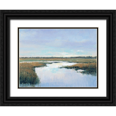 Coastal Plains I Black Ornate Wood Framed Art Print with Double Matting by OToole, Tim