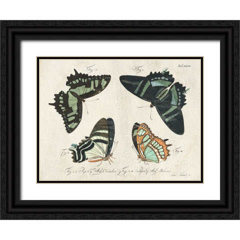 Crackled Butterflies III Black Ornate Wood Framed Art Print with Double Matting by Vision Studio