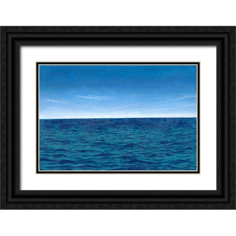Open Water II Black Ornate Wood Framed Art Print with Double Matting by Willett, Michael
