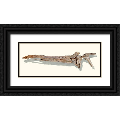 Driftwood Study II Black Ornate Wood Framed Art Print with Double Matting by Willett, Michael