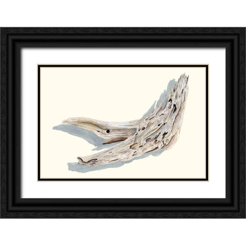 Driftwood Study III Black Ornate Wood Framed Art Print with Double Matting by Willett, Michael