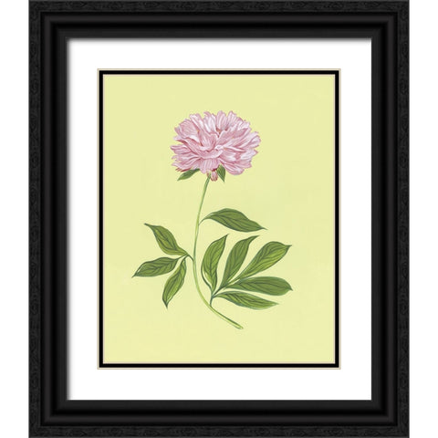 Peonies in Yellow I Black Ornate Wood Framed Art Print with Double Matting by Marr, Laura