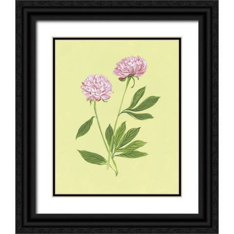 Peonies in Yellow II Black Ornate Wood Framed Art Print with Double Matting by Marr, Laura