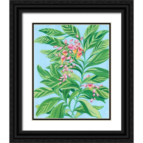 Tropical Shell Ginger II Black Ornate Wood Framed Art Print with Double Matting by Marr, Laura