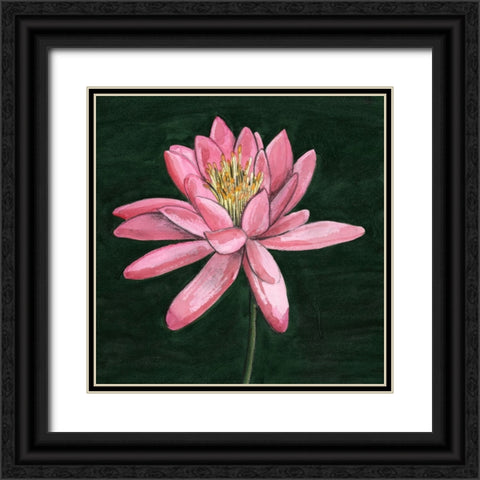Pink Waterlily I Black Ornate Wood Framed Art Print with Double Matting by Longley, Alicia