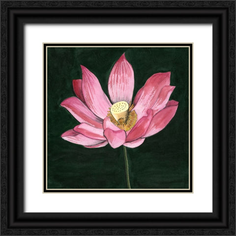 Pink Waterlily II Black Ornate Wood Framed Art Print with Double Matting by Longley, Alicia