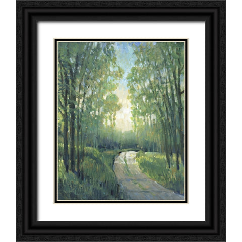 Golden Light Pathways II Black Ornate Wood Framed Art Print with Double Matting by OToole, Tim