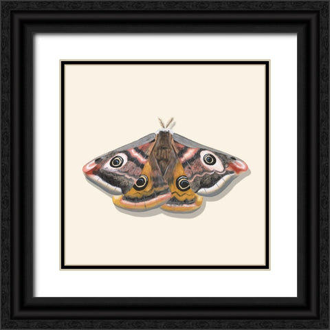 Watercolor Moths I Black Ornate Wood Framed Art Print with Double Matting by Willett, Michael