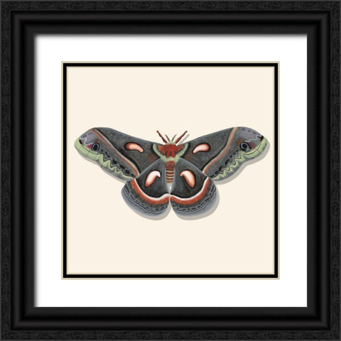 Watercolor Moths III Black Ornate Wood Framed Art Print with Double Matting by Willett, Michael
